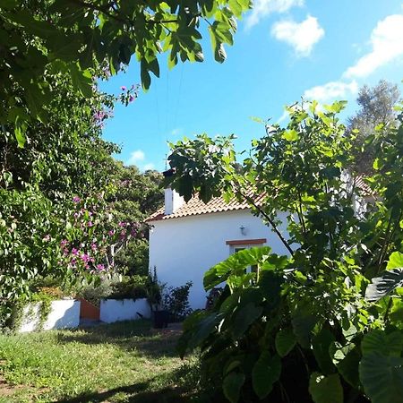 Quinta Algarve Das Relvinhas Monchique Buitenkant foto