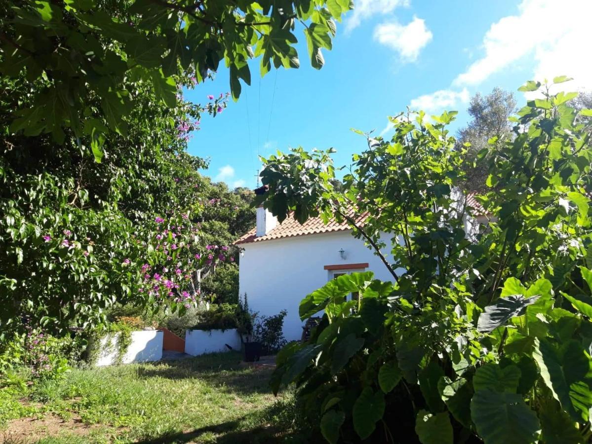 Quinta Algarve Das Relvinhas Monchique Buitenkant foto