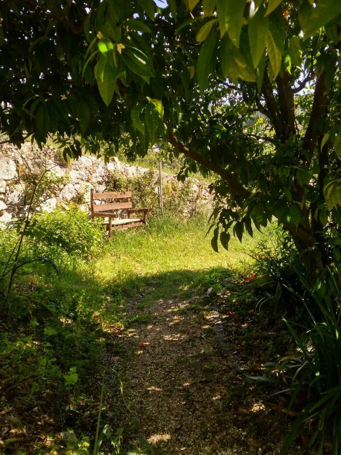 Quinta Algarve Das Relvinhas Monchique Buitenkant foto