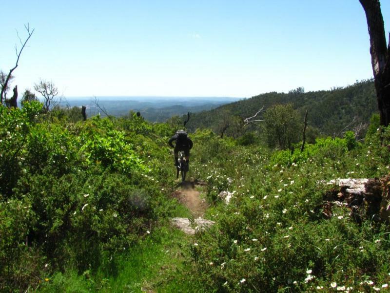 Quinta Algarve Das Relvinhas Monchique Buitenkant foto